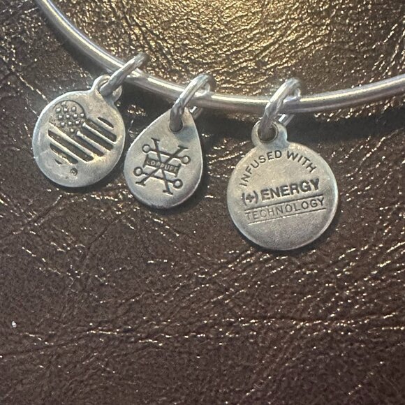 Alex and Ani Because I love you, Sister II Expandable Bangle Bracelet - Picture 4 of 5